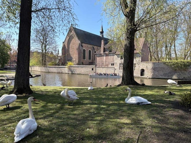 Bruges highlights, hidden gems & chocolate tour,small group - The Practical Side: What to Expect