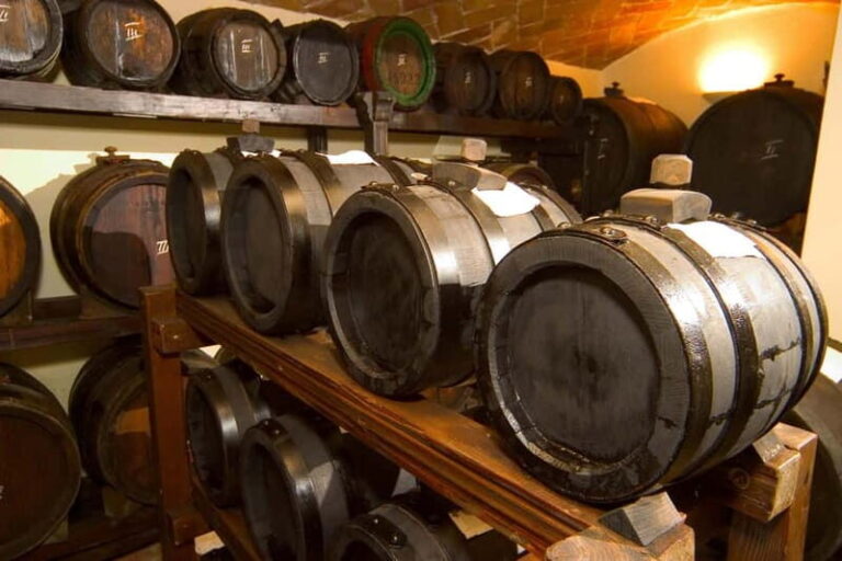 Brunch, balsamic vinegar, and wines: tour of the Emilian hills from Bologna - The Itinerary in Detail