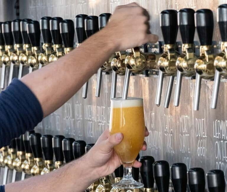 Brussels: VIP tour, tastings, Rooftop Views & Gourmet Meal - The Itinerary Breakdown