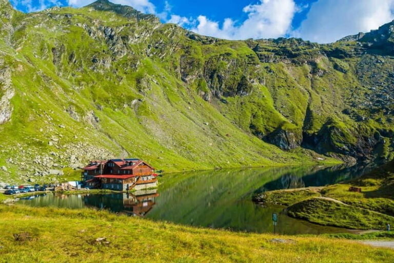 Bucharest: Bears Safari on Top Gear Road Transfagarasan - What’s Included and What to Consider