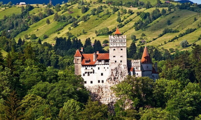 Bucharest: Day Trip to Bear Sanctuary, Bran Castle & Brasov - Transportation & Group Size