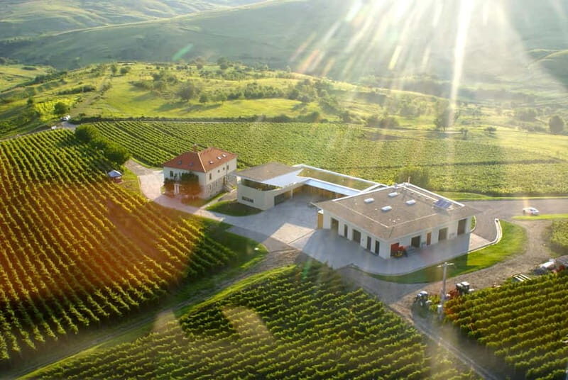 Bucharest: Taste the Magic of Wine in Romanias Tuscany - Scenic Ride and Comfortable Arrangements