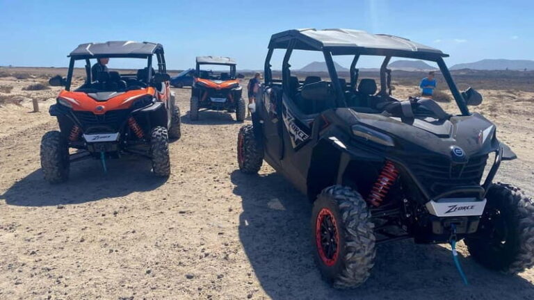 Buggy 4 pazas Corralejo Fuerteventura - What to Expect from This Buggy Tour