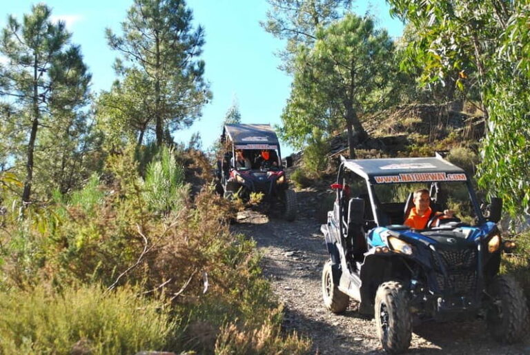 Buggy Family Experience - 60 to 120 minutes - Breakdown of the Itinerary
