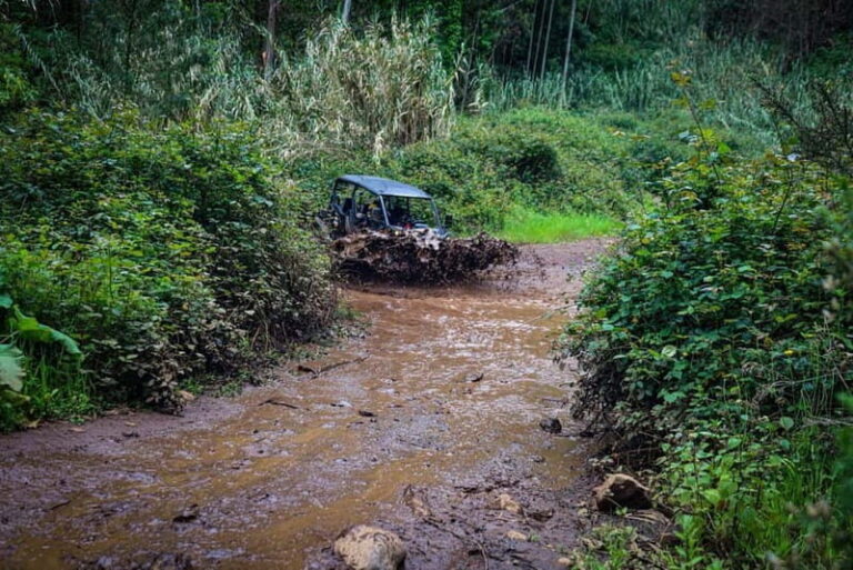 Buggy FunTrip Madeira - Off-Road Valley Adventure Tour - Why This Tour Offers Great Value