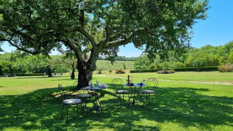 Buje: Istrian Family Farm with Walking Tour, Food, and Wine - An In-Depth Look at the Experience