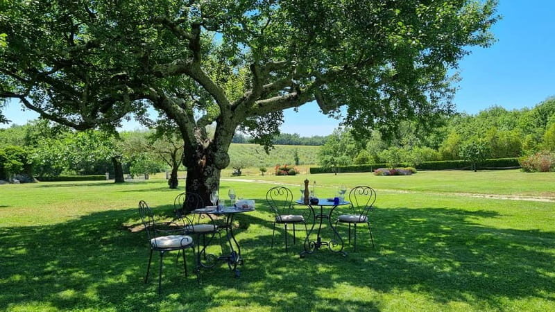 Buje: Istrian Family Farm with Walking Tour, Food, and Wine - An In-Depth Look at the Experience