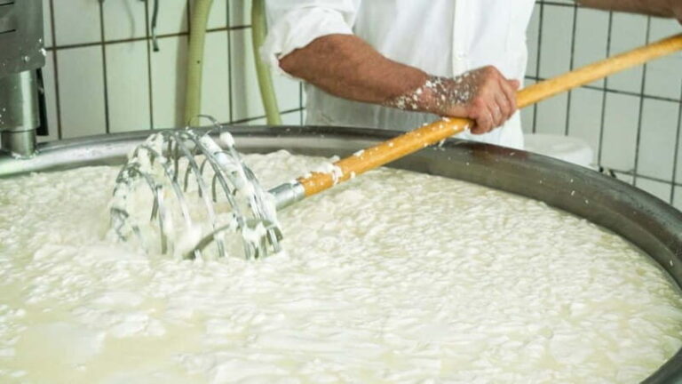 Burgos: Sardinian pecorino cheese workshop - FAQs