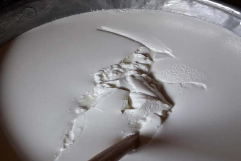 Burgos: Sardinian Pecorino Cheese Workshop - Who Is This Tour For?