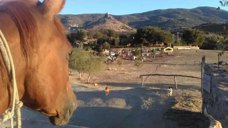 Burgos: visit to a farm with tasting - Who Should Consider This Tour?