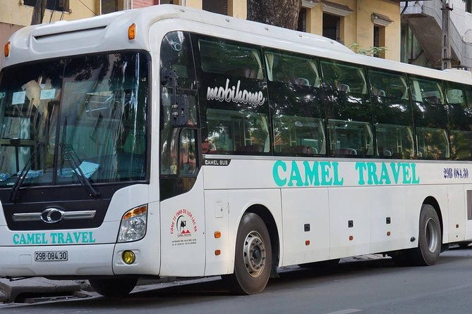 Bus ticket Ninh Binh To Hue cheap - Key Points