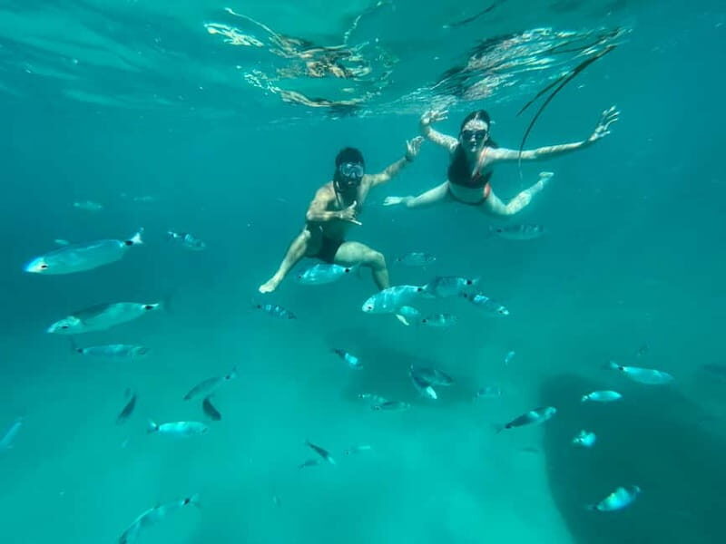 Cagliari: Boat Tour with 4 Swim Stops, Snorkeling & Prosecco - Who Will Love This Tour?