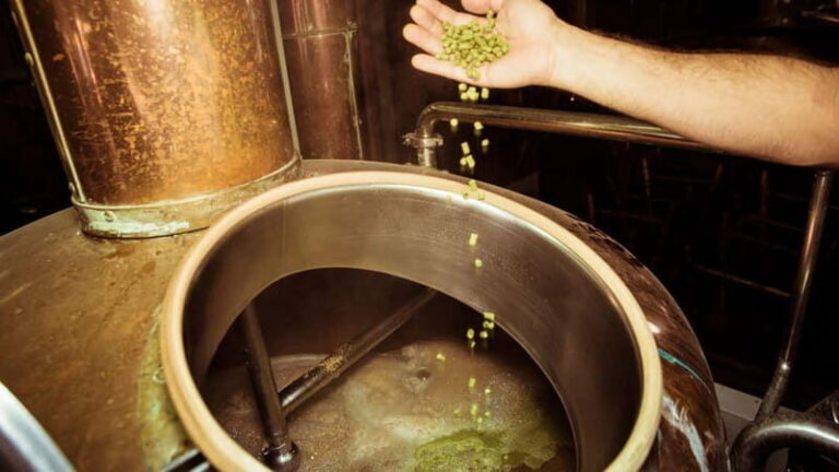Cagliari: visit a craft brewery - The Value and Overall Experience