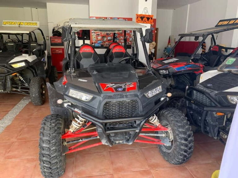 Cala Ratjada: Exclusive buggy tour also for families - Why This Tour Works Well