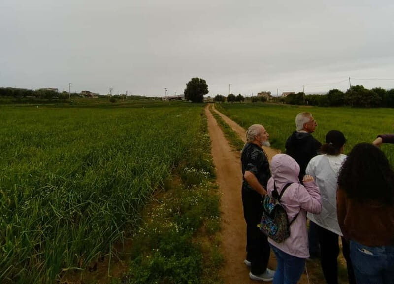 Calabria: Nduja and Onion Tasting Tour Experience - Who Should Consider This Tour?