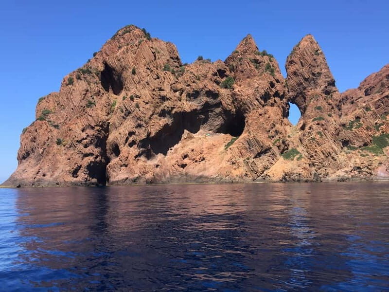 Calvi: guided tour by speedboat to Scandola - Who Will Love This Tour?