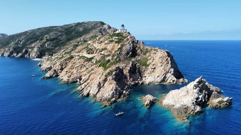 Calvi : Snorkeling Adventure by the Natural Reserve - Why This Tour Offers Great Value