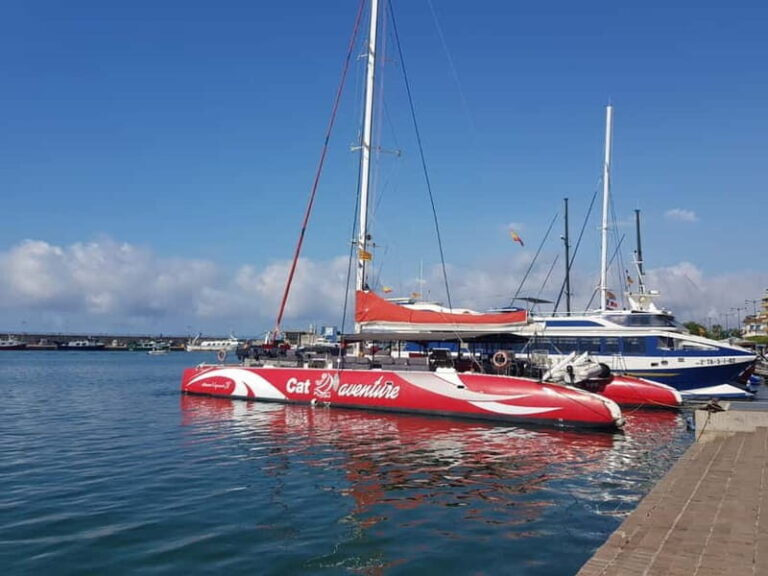 Cambrils/Salou: Coastline Catamaran 3h with drinks ,bed - Practical Details and Tips