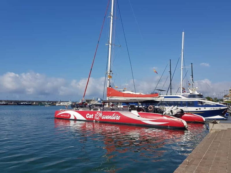 Cambrils/Salou: Coastline Catamaran 3h with drinks ,bed - Practical Details and Tips