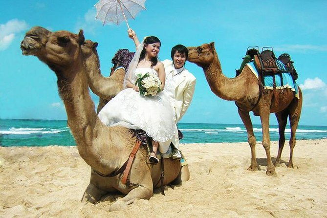 Camel Safari 30 minutes In White Sand Beach - Introduction