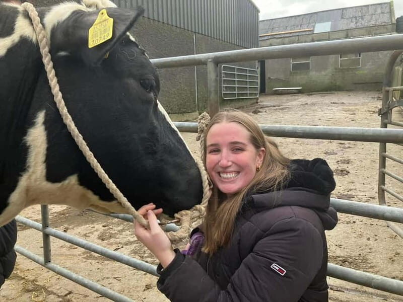 Campview Farm, Ballyshannon: Cuddle a Cow Experience - Why This Experience Is Worth Considering
