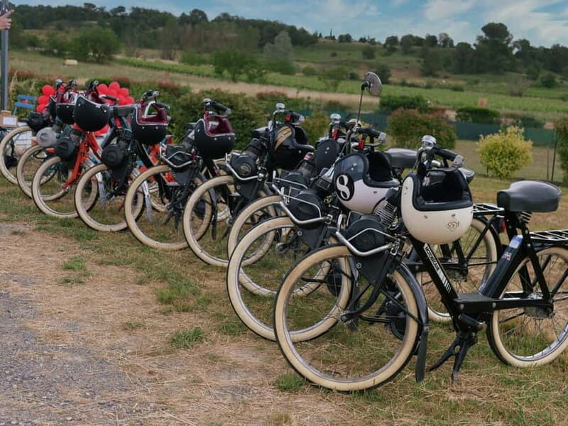 Carcassonne: Solex ride with guide and wine tasting - An In-Depth Look at the Experience