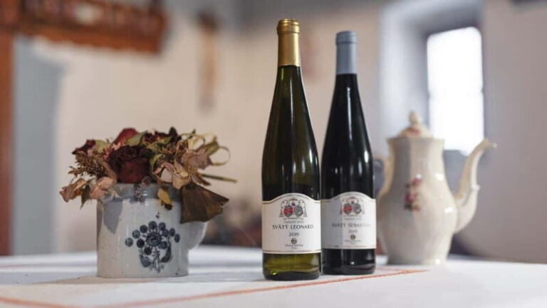 Carpathian Wine tasting tour + Red Stone Castle (Bratislava) - First Stop: VINA Z MLYNA Winery