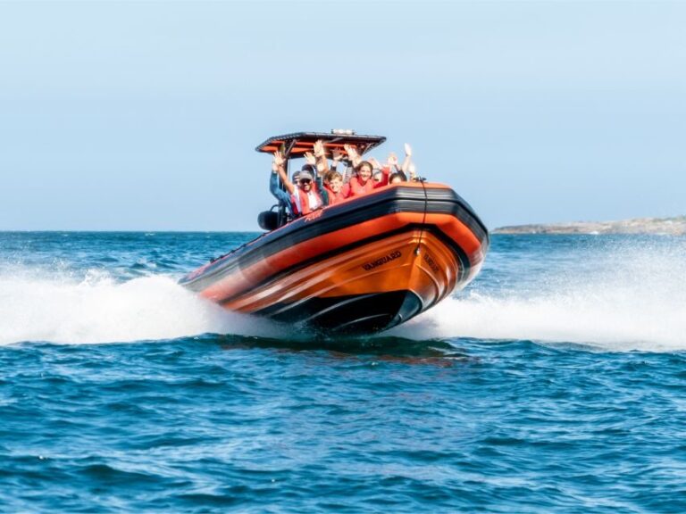 Cascais: Dolphin Watching Tour - Who Will Love This Tour?