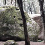 Cascais: Open Water Swimming and Hiking Experience - Detailed Breakdown of the Itinerary