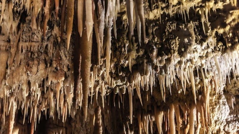 Castellana Caves Guided Tour - The Practical Side: What You Need to Know