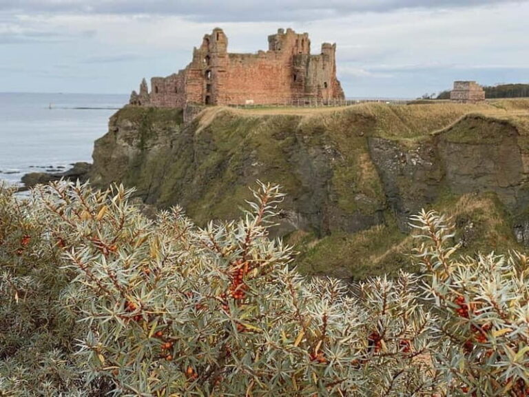 Castle and Coastline Electric Bike Tour North Berwick - An In-Depth Look at the Castle and Coastline Bike Tour