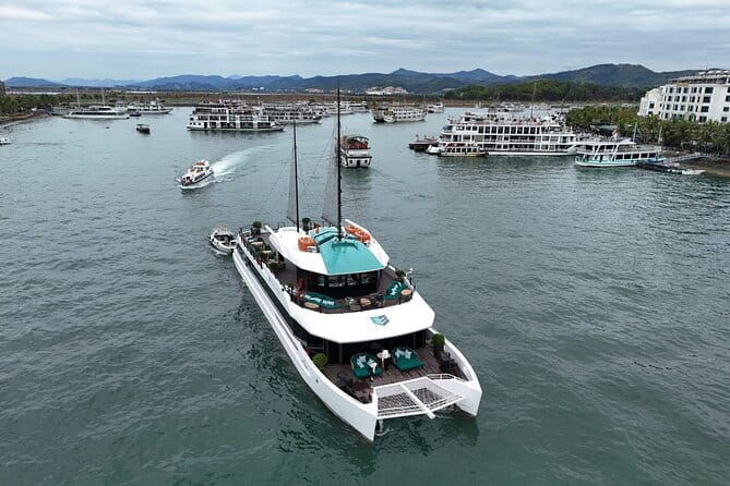 Catamaran Premium Cruise to Halong Bay & Lan Ha Bay in 1 Day Tour - Introduction