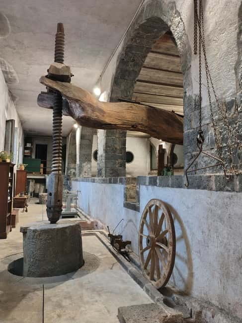 Catania: Etna South Wine & Sicilian Delights Tour - Experience at the Wineries