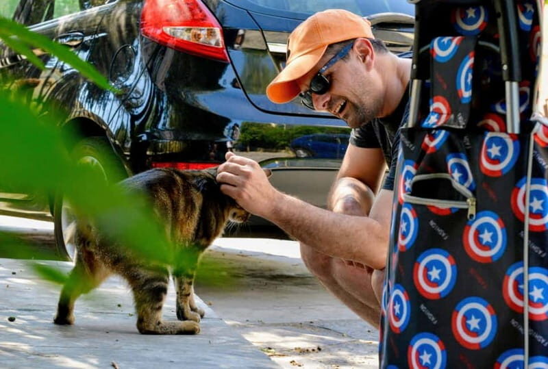 Cats of Athens - Walking Tour - What to Expect from the Cats of Athens Walking Tour