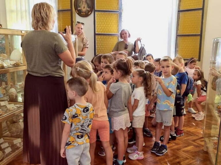 Cavtat: Shell Museum Private Guided Tour - The Collection: A Visual Feast