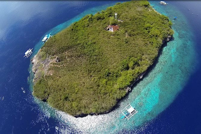 Cebu Moalboal Beach, Sardine Run, Sea Turtle Viewing + Canyoneering Tour - An In-Depth Look at the Tour