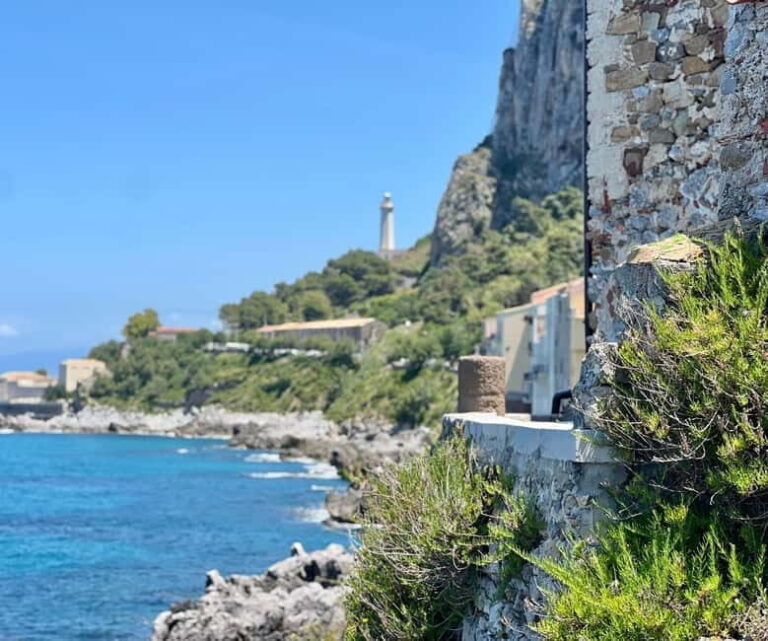 Cefalù: Authentic Food & Wine Tour - A Traditional Sicilian Family Lunch