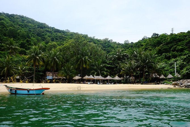 Cham Islands Snorkeling Tour by Wooden Boat from Hoi An - What to Expect on the Tour