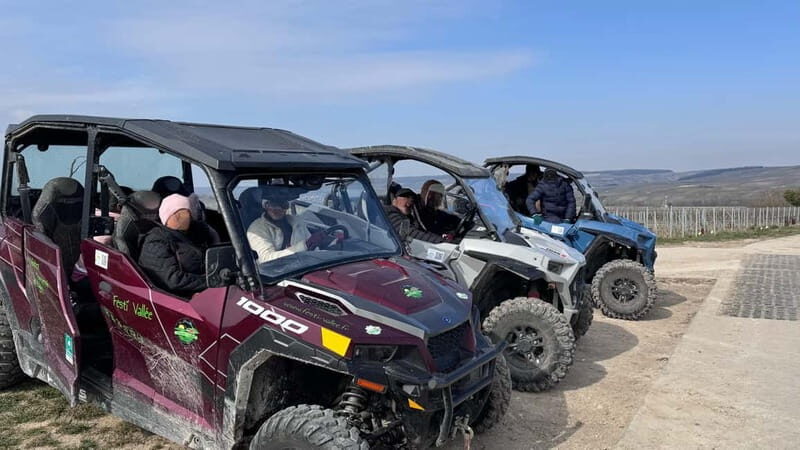 Champagne vineyards: 2-hour guided tour of the vineyards in a Buggy