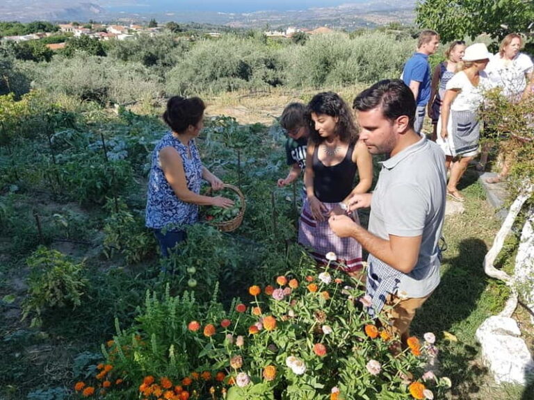 Chania: Cretan Wine, Olive Oil & Cooking Workshop - Transport, Logistics, and Practical Details