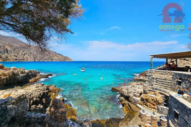 Chania: Diving Trips for Certified Divers - Why This Tour Offers Great Value