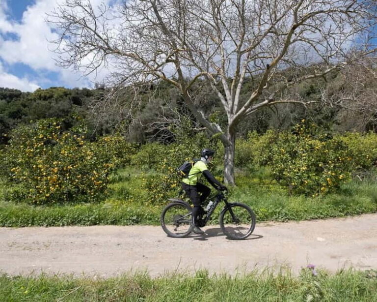 Chania: Electric Mountain Bike Tour - Itinerary Breakdown: A Scenic Journey Through Village Life