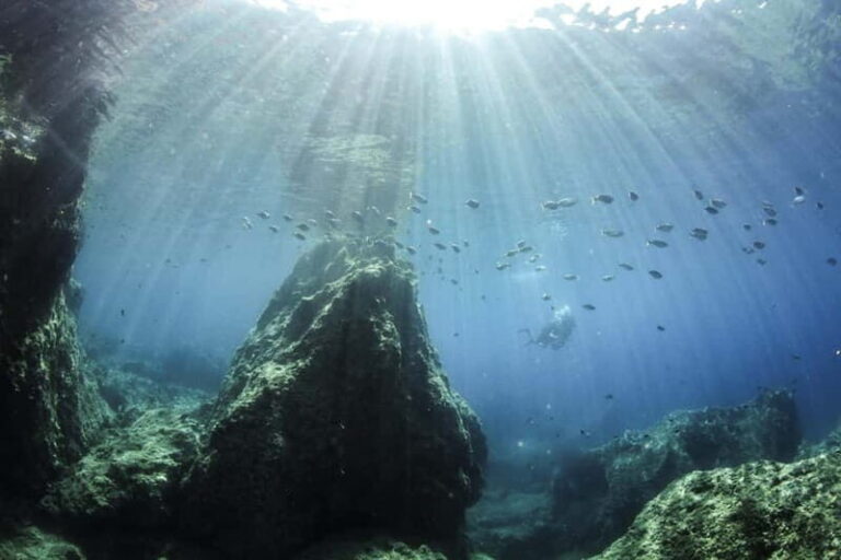 Chania: Scuba Diving and Snorkeling for Beginners by Boat - Introduction: Why We Think This Tour Is Worth Considering