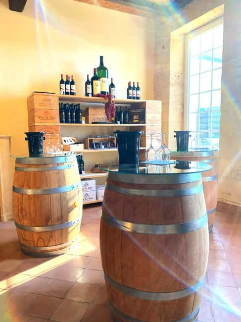 Château St-Emilion Grand Cru visit and Grand Cru and Pomerol tasting - The Practical Side: Logistics and Value