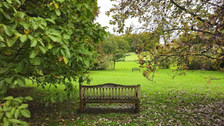 Chawton: village tour to discover its ties to Jane Austen - The Unique Perspective of the Guide
