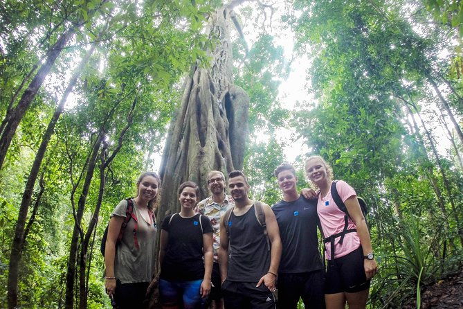 Chiang Mai: Doi Suthep Summit Trek  7 Hour Pure Hiking Adventure - Key Points