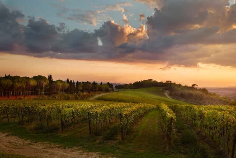 Chianti Colli Fiorentini Winery Tour 18km from Florence - Who Should Book This Tour?