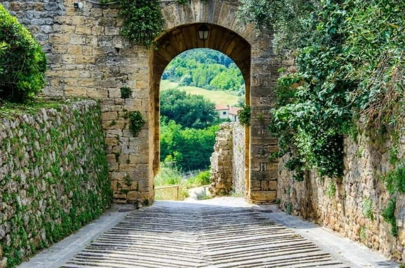 Chianti Half-Day Afternoon Tour from Florence - Transportation and Logistics