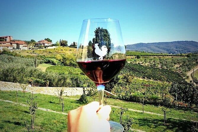 Chianti & Supertuscan Private Tour 2 Wineries with light lunch - A Look at the Chianti & Supertuscan Private Tour: What to Expect