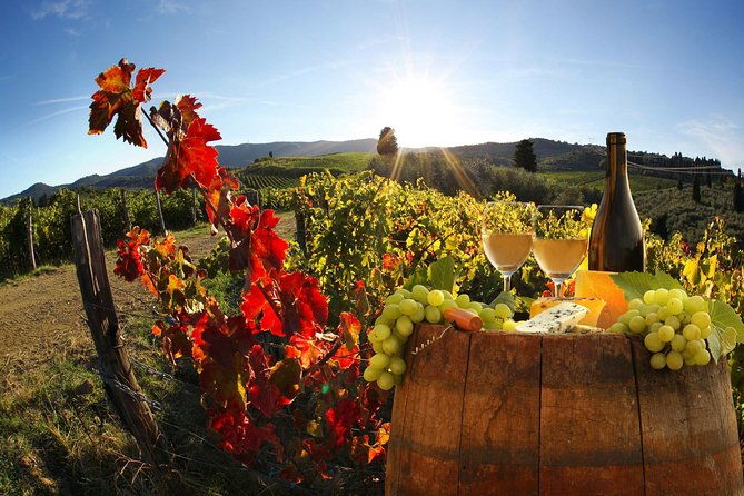 Chianti, SuperTuscan & San Gimignano - 2 wineries and light lunch - Authentic Tuscany in a Day: Exploring San Gimignano & Two Wineries